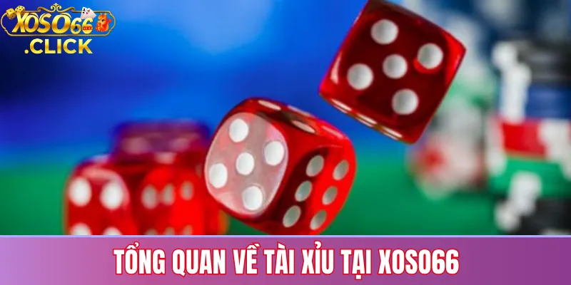 Tài Xỉu Xoso66: Luật Chơi, Cách Đọc Kết Quả Và Rủi Ro 1 Giới thiệu luật chơi tài xỉu tại Xoso66 với các cửa cược phổ biến