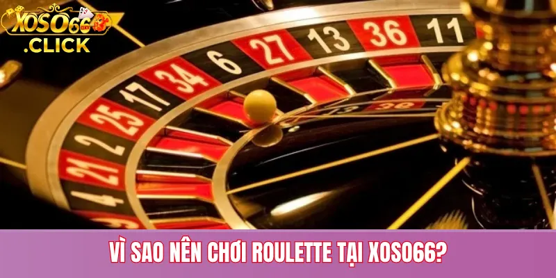 Lý do nên chơi Roulette tại Xoso66: giao diện 3D, tốc độ ổn định, bảo mật an toàn và nhiều khuyến mãi